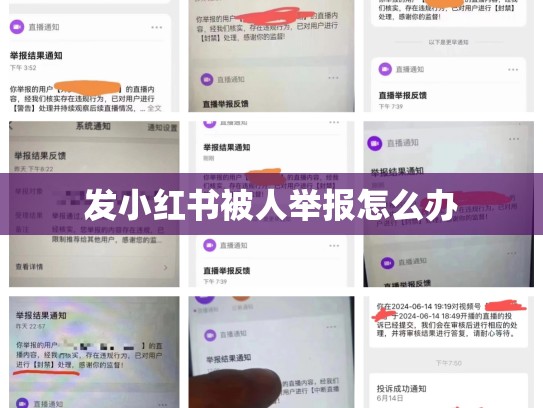 发小红书被人举报怎么办