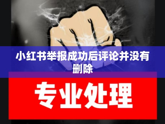 小红书举报成功后评论并没有删除