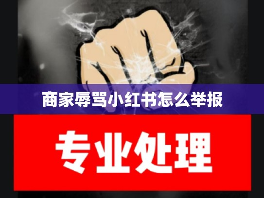 商家辱骂小红书怎么举报