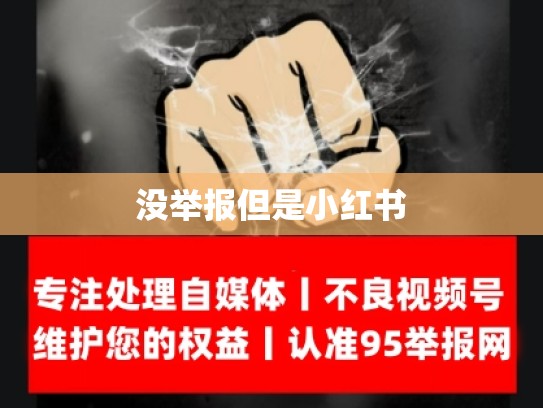 没举报但是小红书