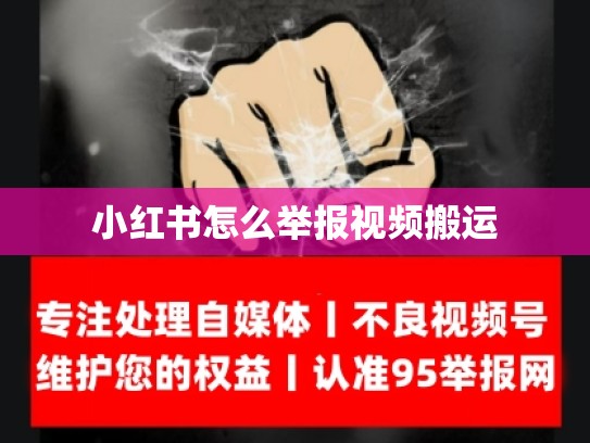 小红书怎么举报视频搬运