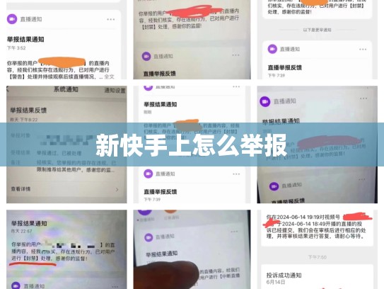 新快手上怎么举报
