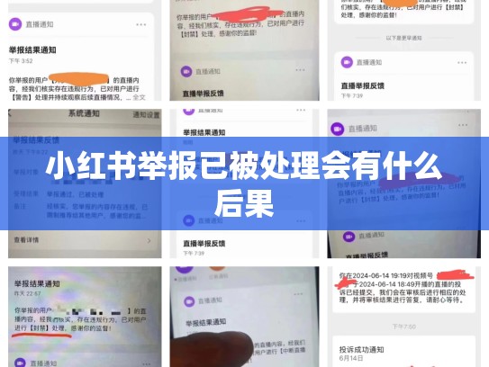 小红书举报已被处理会有什么后果
