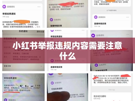 小红书举报违规内容需要注意什么