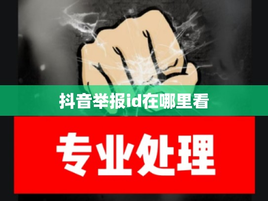 抖音举报id在哪里看