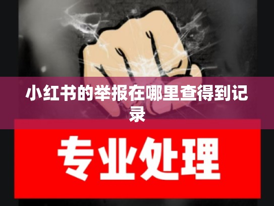 小红书的举报在哪里查得到记录