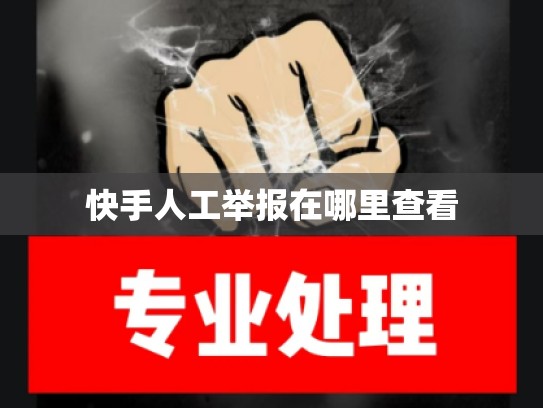 快手人工举报在哪里查看