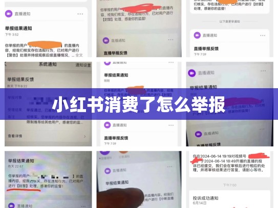 小红书消费了怎么举报