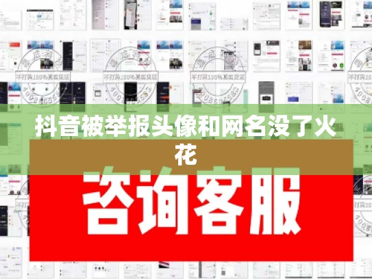 抖音被举报头像和网名没了火花