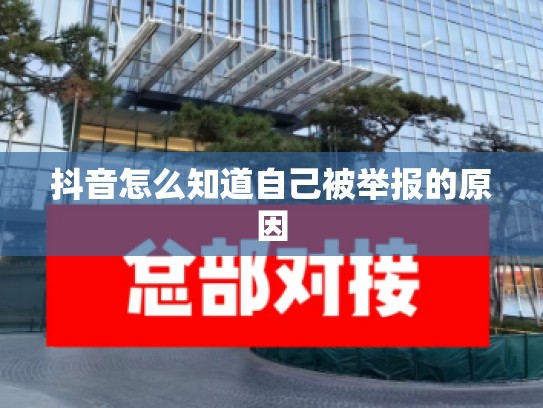 抖音怎么知道自己被举报的原因