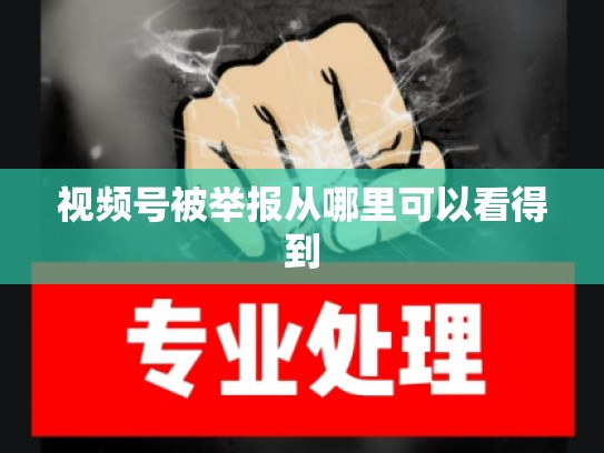 视频号被举报从哪里可以看得到
