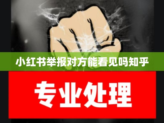小红书举报对方能看见吗知乎