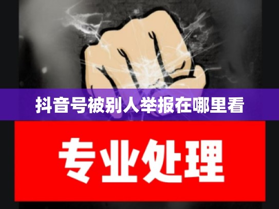 抖音号被别人举报在哪里看