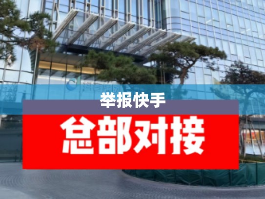 举报快手