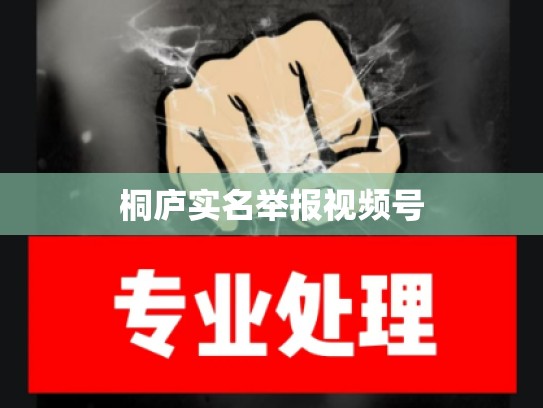 桐庐实名举报视频号