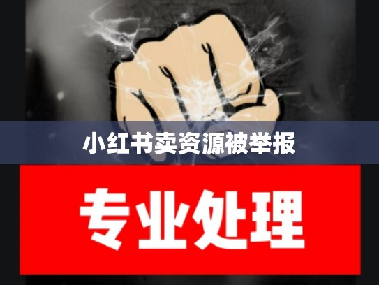 小红书卖资源被举报