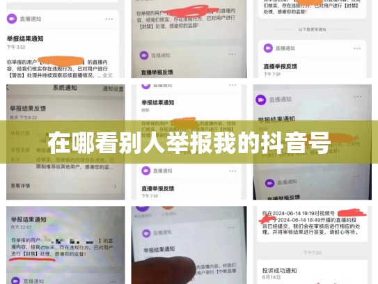 在哪看别人举报我的抖音号
