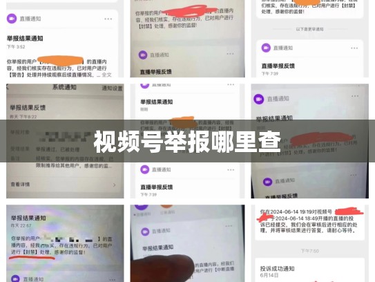 视频号举报哪里查