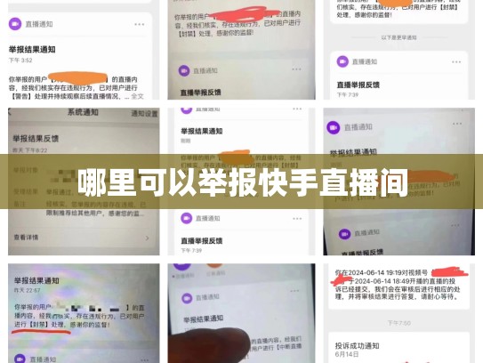 哪里可以举报快手直播间