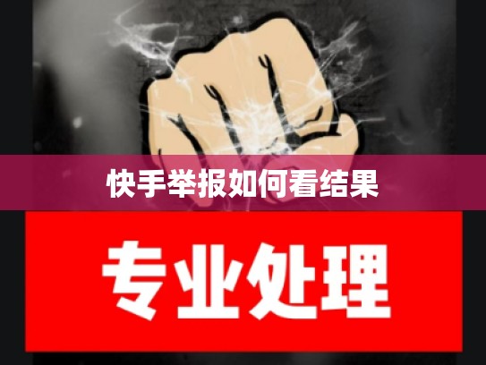 快手举报如何看结果