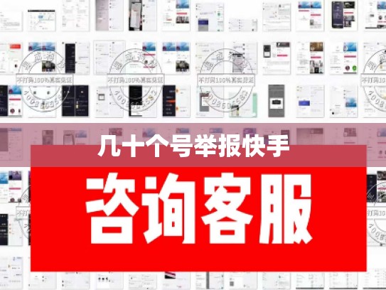 几十个号举报快手