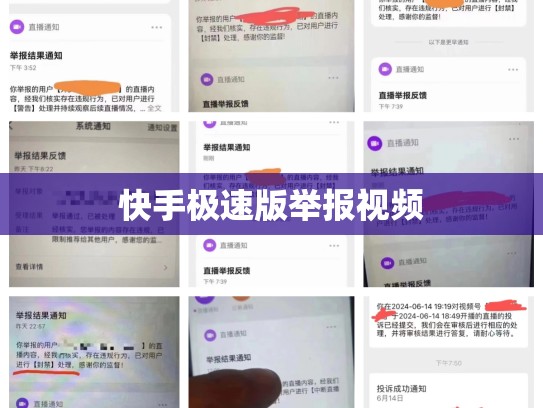 快手极速版举报视频