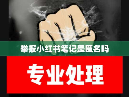 举报小红书笔记是匿名吗