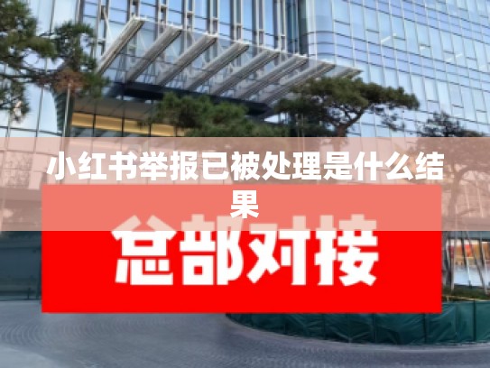 小红书举报已被处理是什么结果