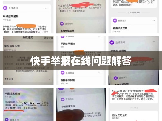 快手举报在线问题解答