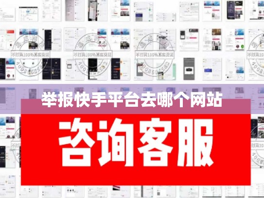 举报快手平台去哪个网站