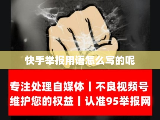 快手举报用语怎么写的呢