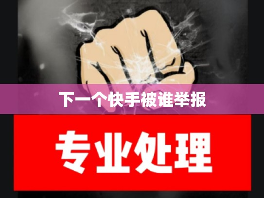 下一个快手被谁举报