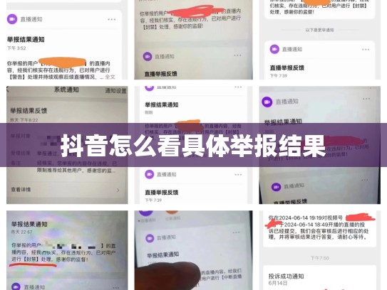 抖音怎么看具体举报结果