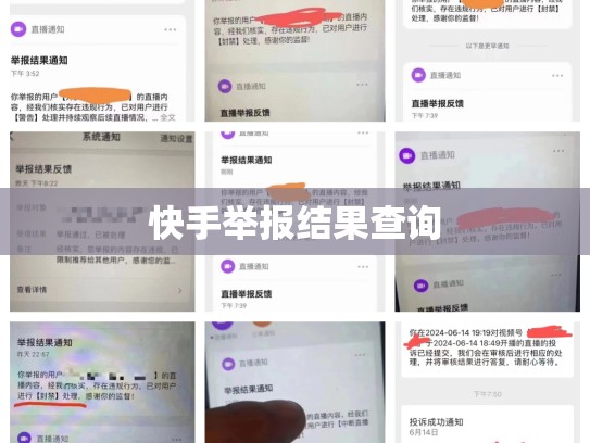 快手举报结果查询