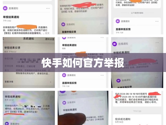 快手如何官方举报