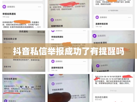 抖音私信举报成功了有提醒吗