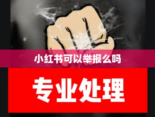 小红书可以举报么吗