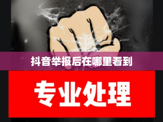 抖音举报后在哪里看到