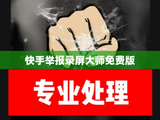 快手举报录屏大师免费版
