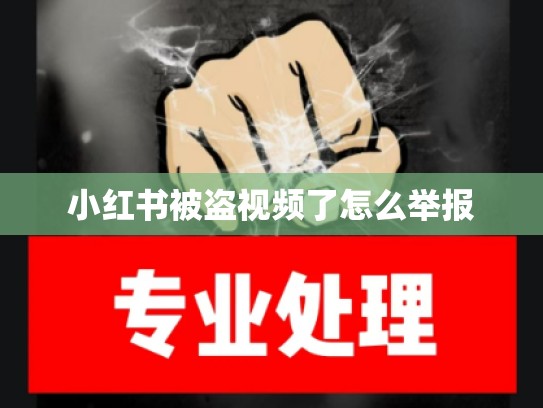 小红书被盗视频了怎么举报