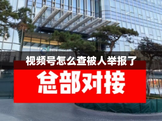 视频号怎么查被人举报了