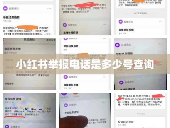 小红书举报电话是多少号查询