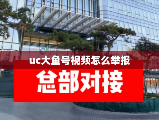 uc大鱼号视频怎么举报
