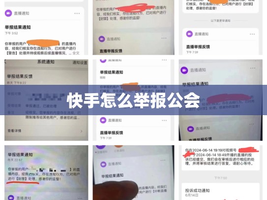 快手怎么举报公会
