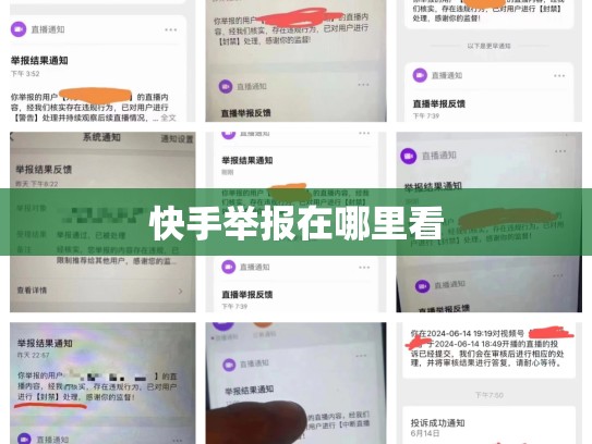 快手举报在哪里看