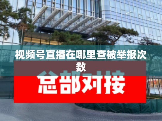 视频号直播在哪里查被举报次数