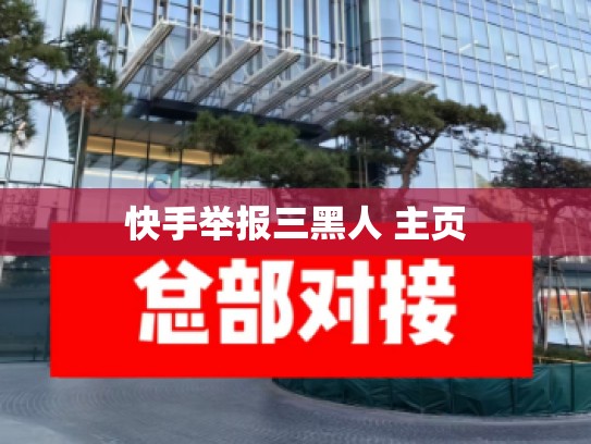 快手举报三黑人 主页