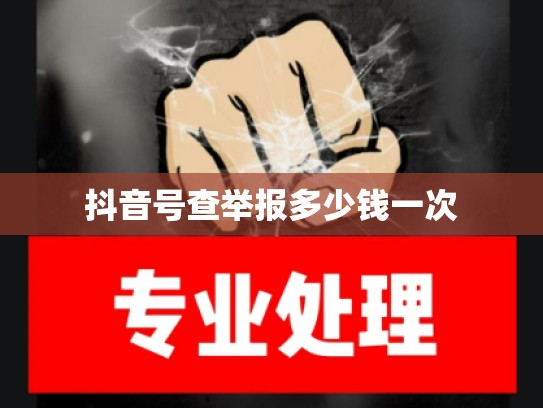 抖音号查举报多少钱一次