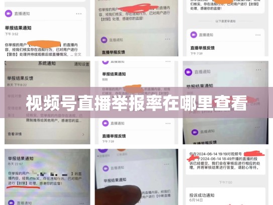 视频号直播举报率在哪里查看