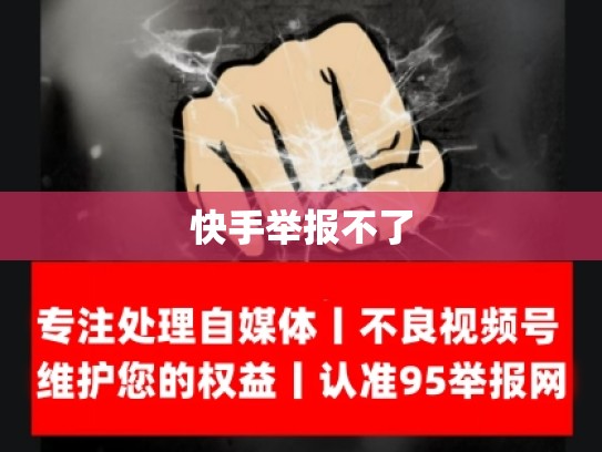 快手举报不了